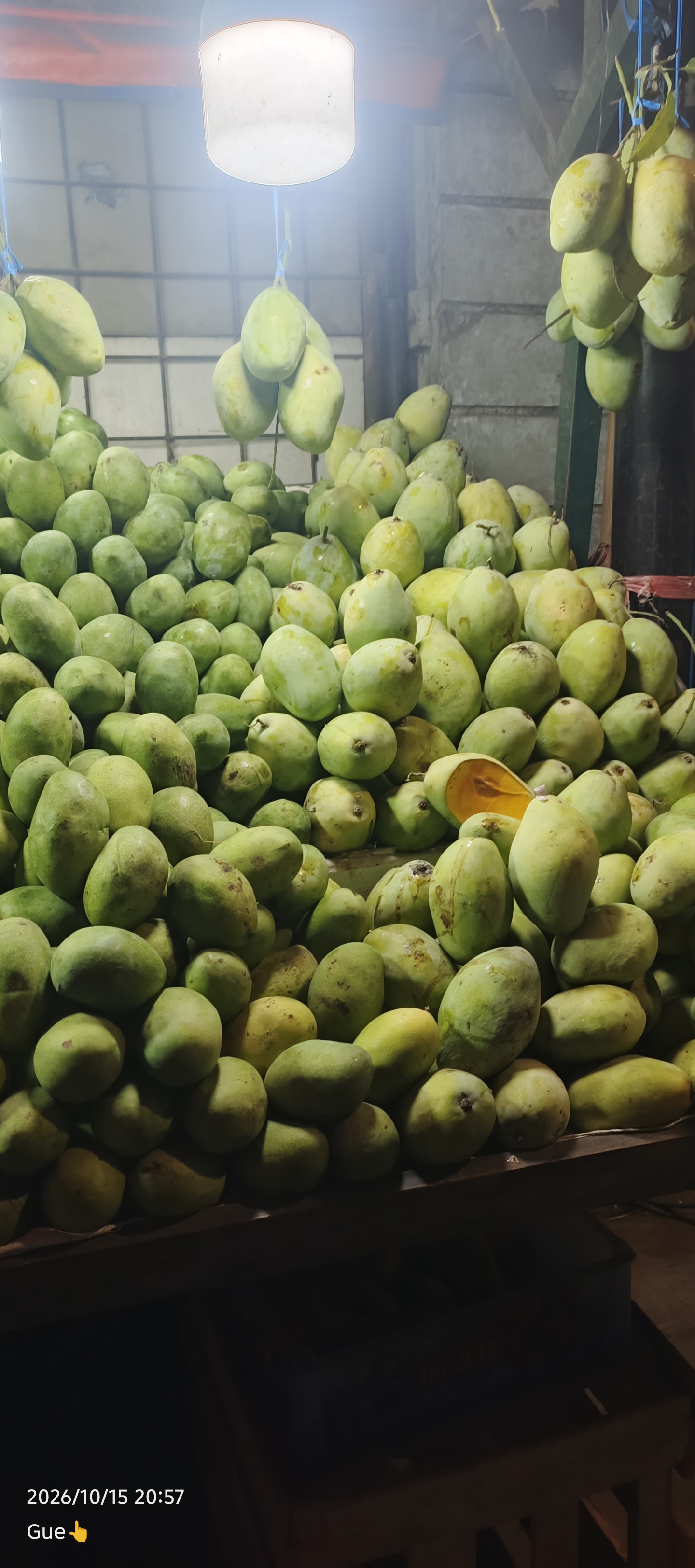 Saat bekerja - Dermaga 207